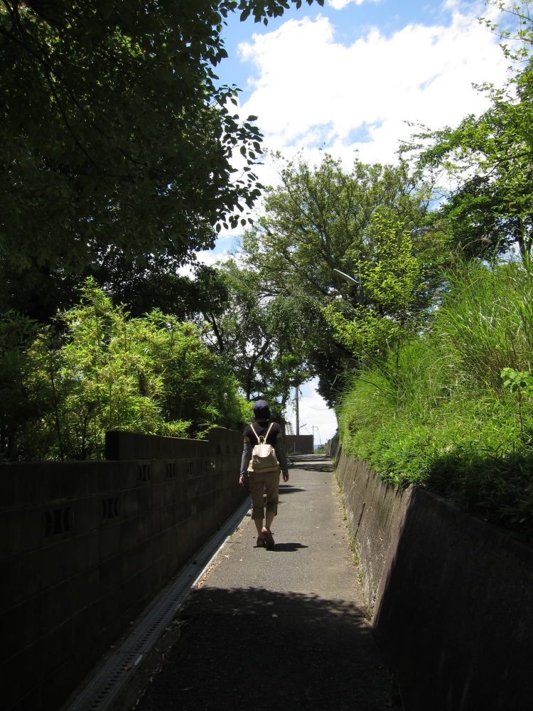 やっぱりここからの景色は最高！！静寂と透明感あふれる山道を行く－奈良・若草山_e0138081_1954182.jpg