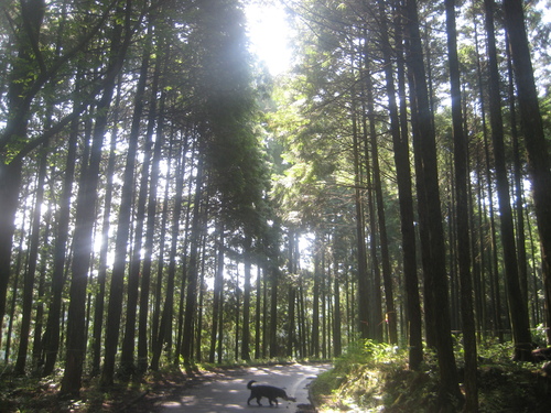 快晴の日の削り作業。_d0195183_20122351.jpg