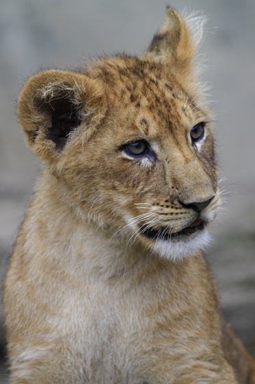 美の山公園と中津峡_b0016600_114146.jpg