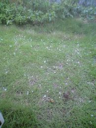 b0059000_2253374.jpg