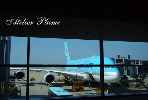 韓国旅行　エアバスＡ３８０_e0154202_2142448.jpg