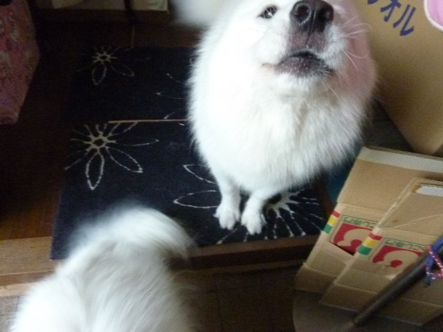 e0018604_14345558.jpg