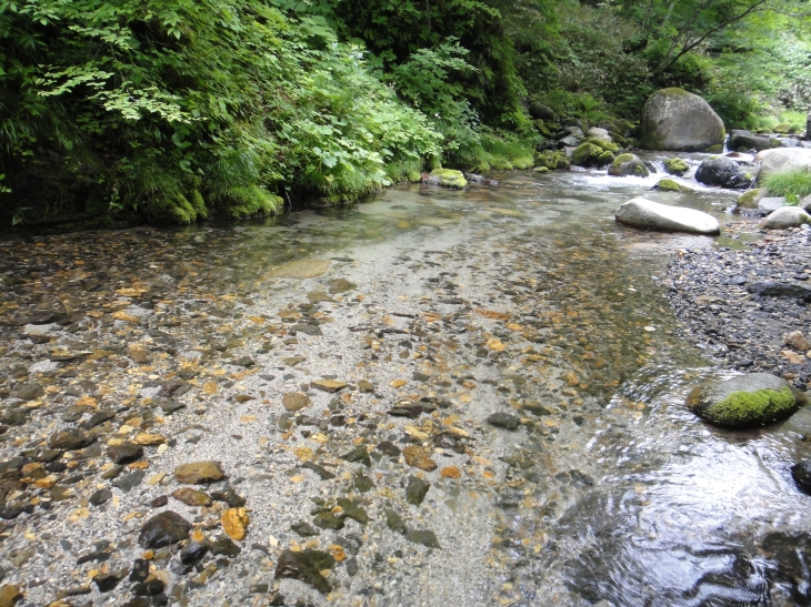 b0172805_1004569.jpg