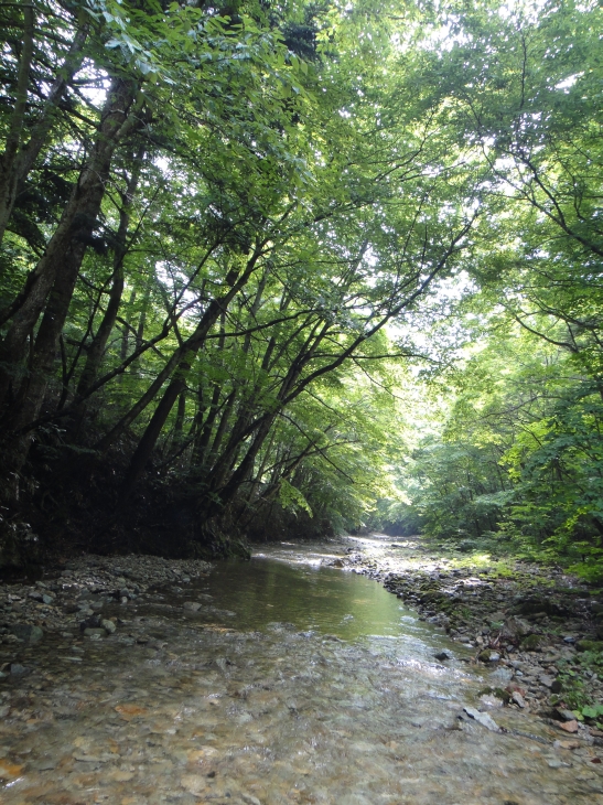 b0172805_10293746.jpg