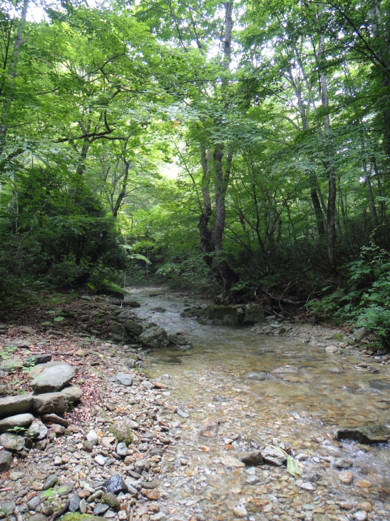 b0172805_10313036.jpg