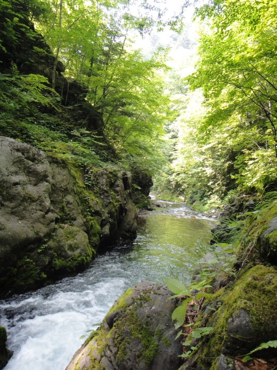 b0172805_9564230.jpg
