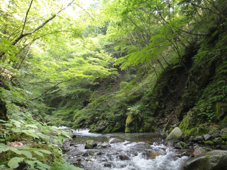 b0172805_9571968.jpg