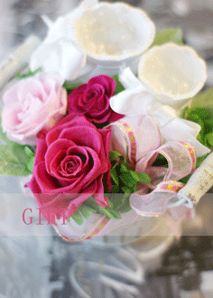 b0111306_22205761.gif