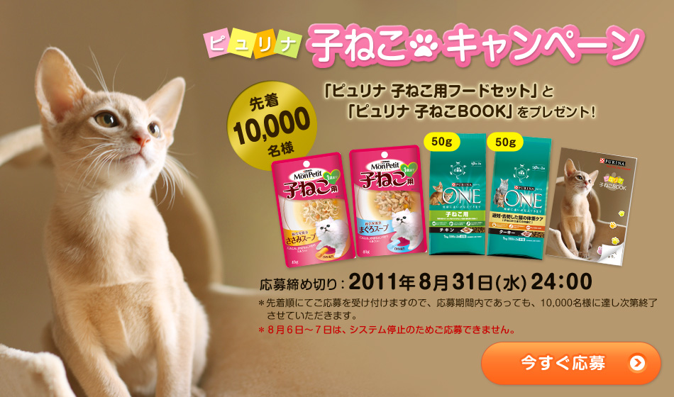 今年もキャンペーンガールですね。_e0033609_10372294.jpg
