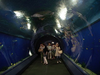 c0190010_21385912.jpg