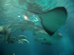 c0190010_21412693.jpg