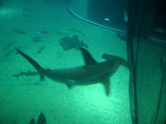 c0190010_21414316.jpg