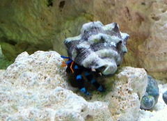 c0190010_2141584.jpg