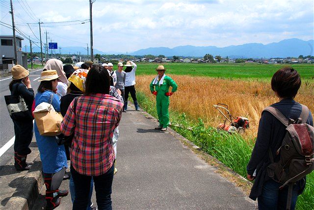 日野町 小麦ワークショップ ~最終章~_c0116714_2132670.jpg