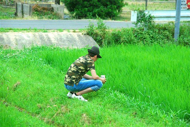 日野町 小麦ワークショップ ~最終章~_c0116714_9274357.jpg