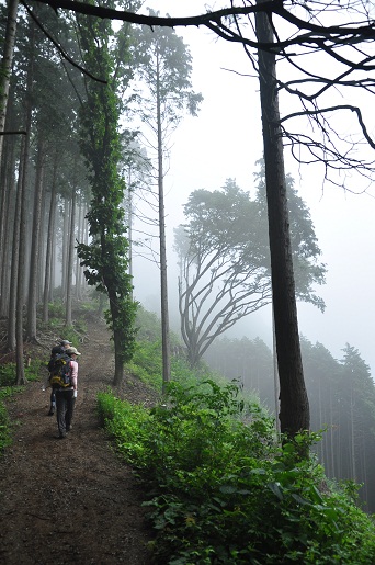 景信山～高尾山_b0200216_17241756.jpg