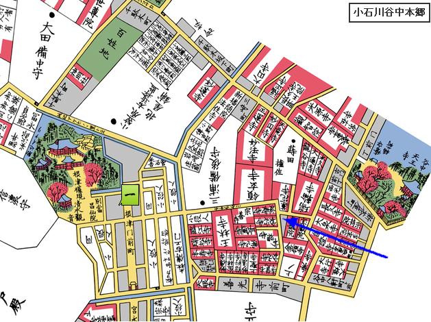 谷中　ｱｰｽﾀﾞｲﾊﾞｰ縄文海進図+Yahoo図合体　with 古地図　Johmon-onlap_c0035318_23382371.jpg