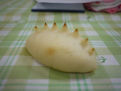 a0155921_20202061.jpg