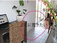 e0195721_8295032.gif