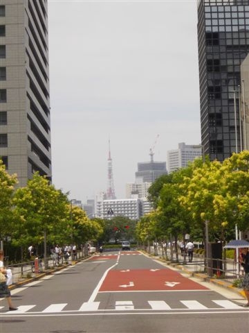 東京タワーに　気がついた？！_e0224322_2342511.jpg