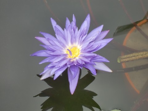 b0012636_12291633.jpg