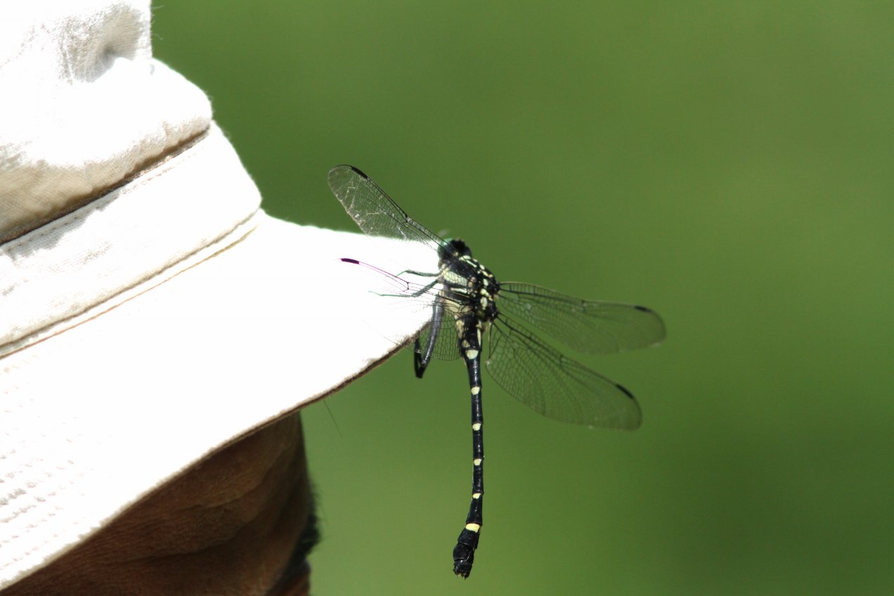 c0172139_2343611.jpg