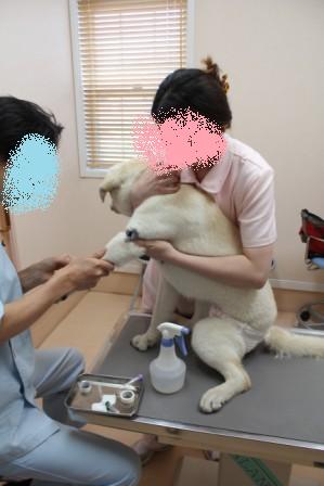 心配です。_a0126743_12211054.jpg