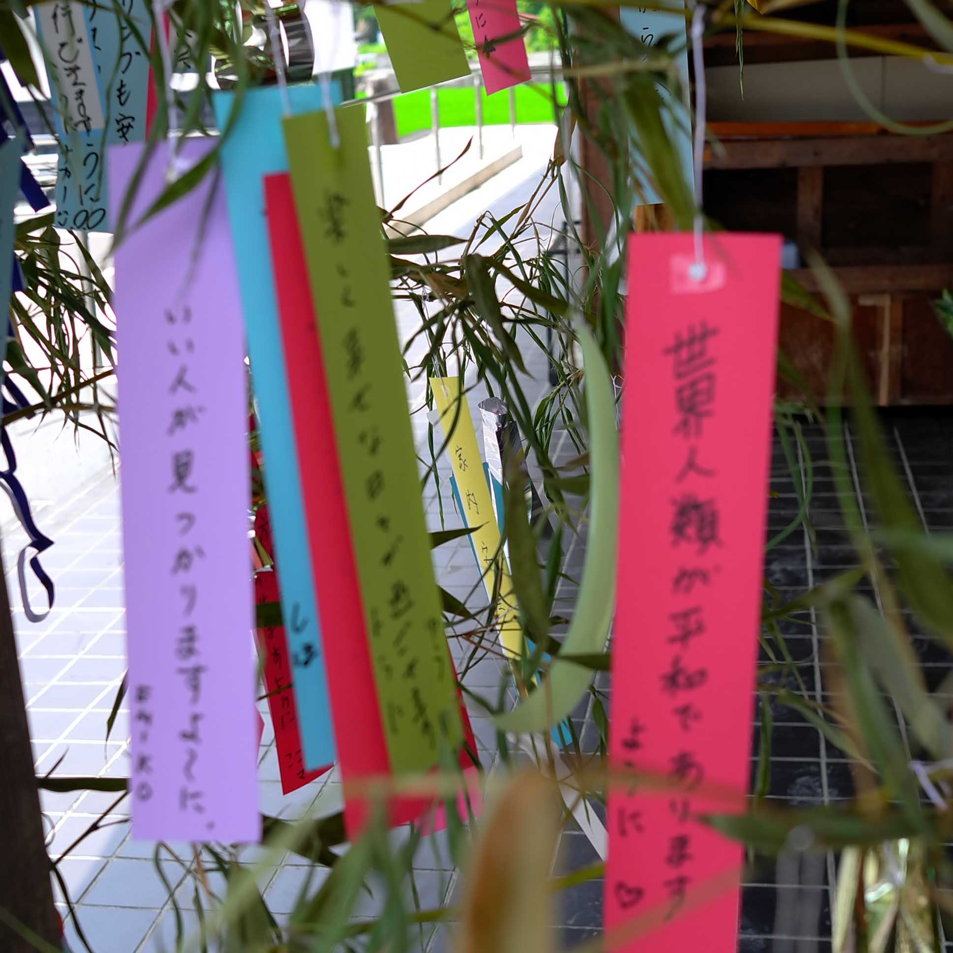 七夕_f0137044_2149273.jpg