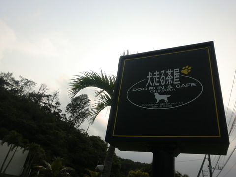 b0216949_7163019.jpg