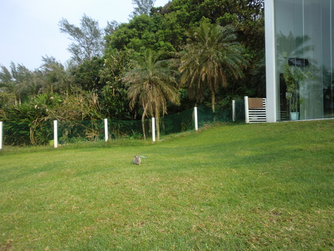 b0216949_7333618.jpg