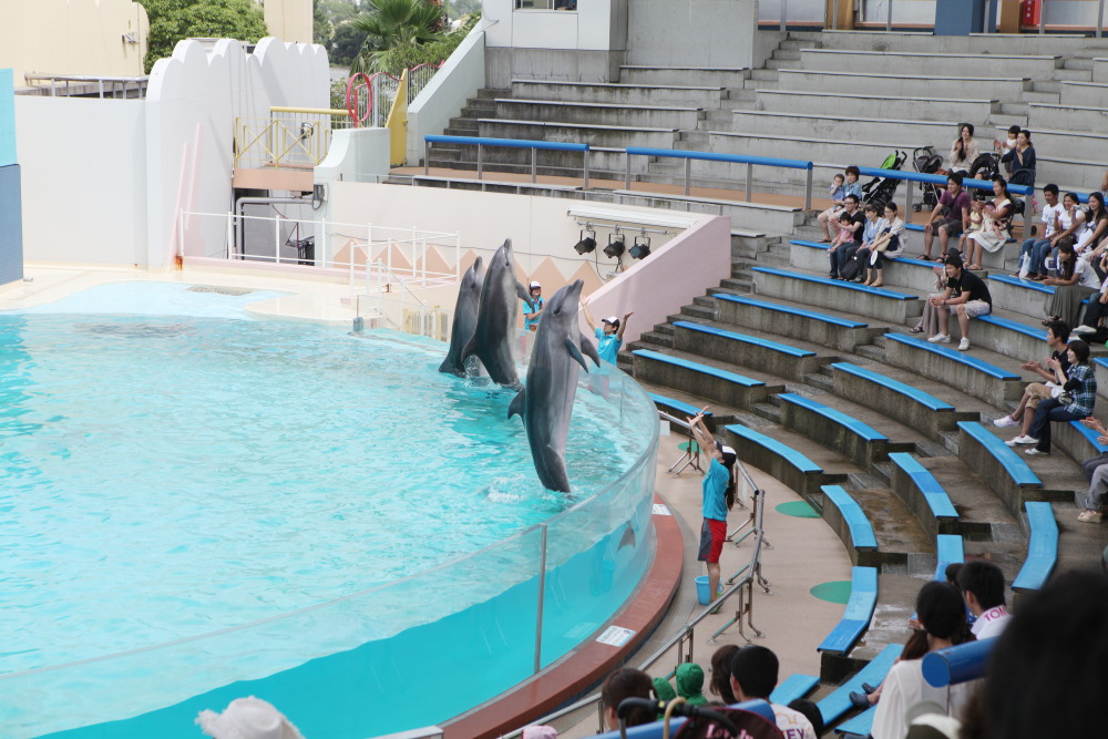 [ 須磨水族園 ～ 新長田 ] - イルカショーとか鉄人とか - お出掛けsnap♪_d0110849_17311723.jpg