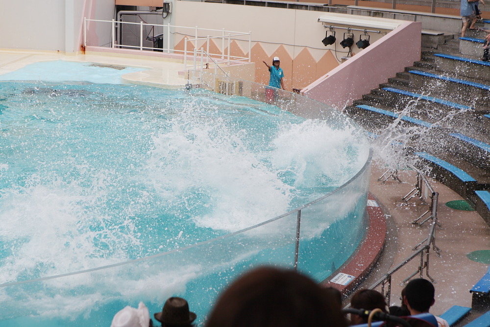 [ 須磨水族園 ～ 新長田 ] - イルカショーとか鉄人とか - お出掛けsnap♪_d0110849_17431182.jpg