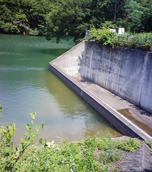 初夏の水環境ウォーキング_f0197754_004921.jpg