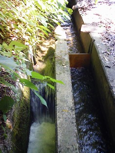 初夏の水環境ウォーキング_f0197754_013238.jpg