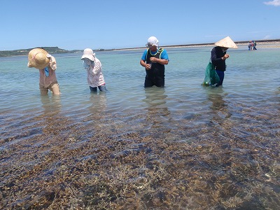 c0180460_740691.jpg