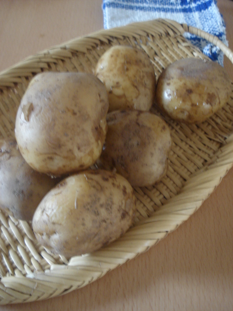 f0234761_12382888.jpg