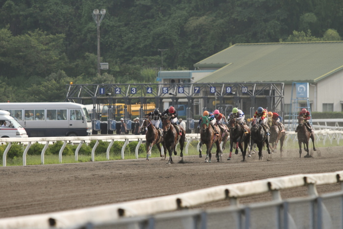 2011年7月2日（土） 高知競馬 3R カヌーで川下り特別 B-2_a0077663_6332319.jpg