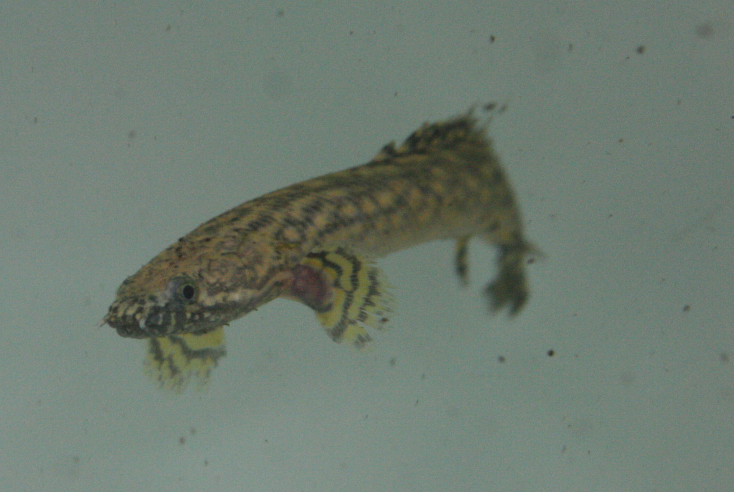 a0162263_2174388.jpg