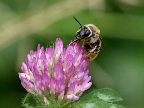 f0208666_20565691.jpg