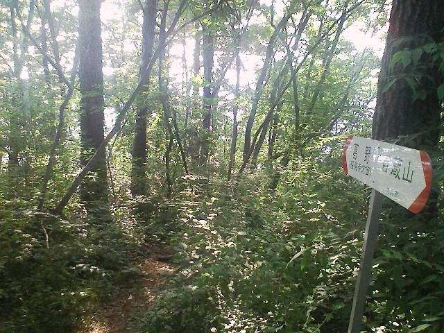 2011/07/05 百蔵山 大同山_d0233770_6405234.jpg
