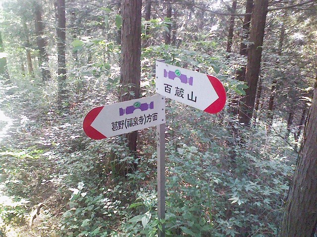 2011/07/05 百蔵山 大同山_d0233770_6502890.jpg