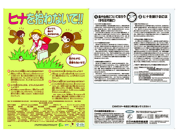 雛を拾わないで_e0046474_1829822.jpg