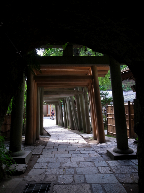 Kamakura　120_f0046675_22424832.jpg