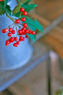 berry_b0209477_20323820.jpg