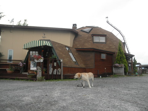 f0052277_0235188.jpg