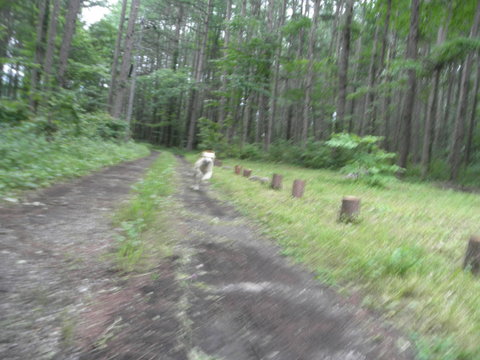 f0052277_0264483.jpg