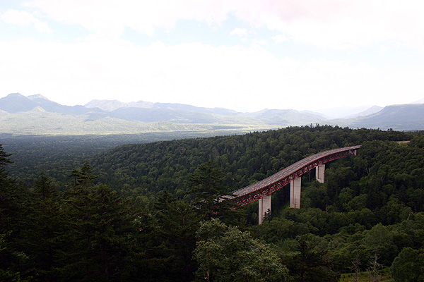 e0186780_1792628.jpg