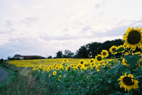 f0046982_21565530.jpg