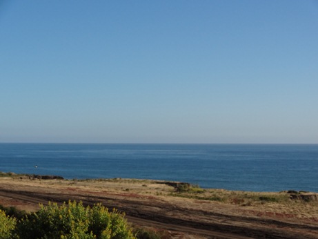 f0232083_412737.jpg