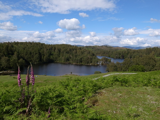 c0188784_11514489.jpg